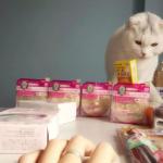 15天完美到手起航轉運值得信賴